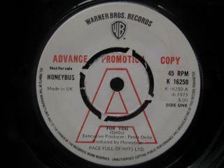 Honeybus - For You Little Lovely One 1973 Rare Warner Bros Psych Demo/promo