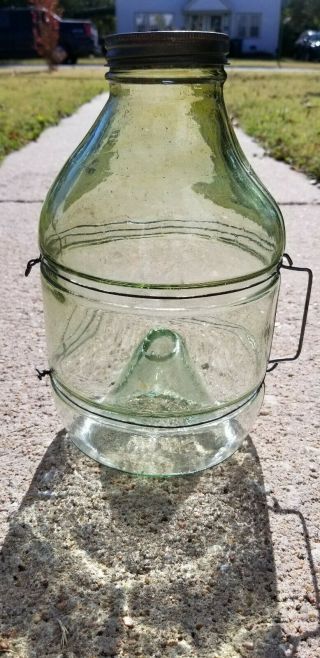 Vintage Glass Minnow Trap Brand Unknown Green Glass No Stand Ground Top Nr
