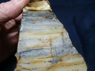 Css: 3 Lb 4 Oz Piece Of Rare Old Owyhee Outback Ridge Picture Jasper Rough