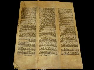 Torah Scroll Bible Jewish Fragment 200 Yrs Old From Iraq Genesis 24:13 - 25:18