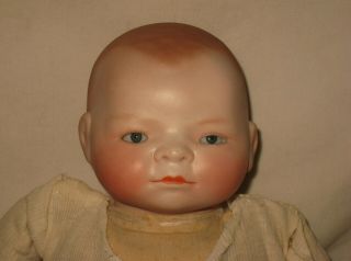 Antique Grace S.  Putnam 14 " Bisque Head Bye - Lo Baby Doll W/ Celluloid Hands Mw14