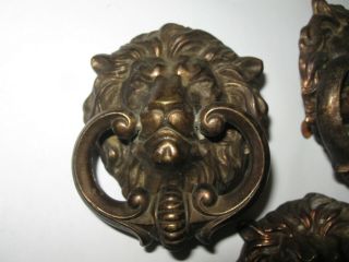 Vintage Drawer Pull Lion Head Embossed Antique Brass w Ring Pull 2