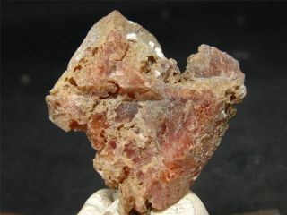 Rare Rhodochrosite Crystal From Mt St Hilaire Canada - 1.  1 "