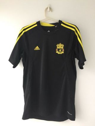 Rare Liverpool 2010/2011 Training Football Shirt Jersey Adidas Size 3