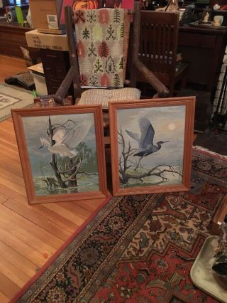 Vintage Paint By Number Set Tropical Birds Egrets Heron Large White 23.  5” X 19”