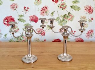 Fine Quality 19th Century Sheffield Plate 3 Light Embossed Candelabras