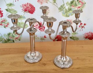 Fine Quality 19th Century Sheffield Plate 3 Light Embossed Candelabras 2