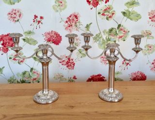 Fine Quality 19th Century Sheffield Plate 3 Light Embossed Candelabras 3