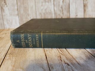 Antique Text - Book Of Botany By Coulter D Appleton 1909 Illustrated Hardcover