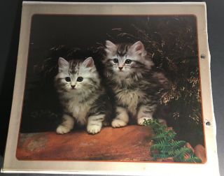 Mead Trapper Keeper Kittens 29096 Cats Vintage 80’s 90’s RARE 2