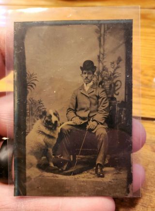 & Rare Gem Tintype - Portrait Of A Man And His Canine