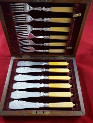 Fine Antique 1906 Silver Plated Epns Cased Fish Eaters Forks Knives Rare Handles