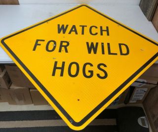 Rare Retired Texas “watch For Wild Hogs” Highway Sign 36x36”
