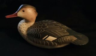 Rare Royal Doulton Merganser Female Duck Signed By Lem Ward (2643).  (1278).