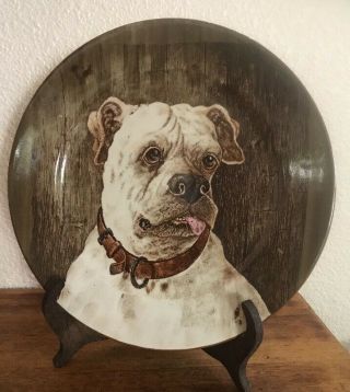Antique Mastiff Painting Dog Plate 1905 G Pedersen Cauldon England Rare Find
