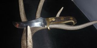 Ozekes Sinop Custom Made Fixed Blade Knife Stag Handle Carbon Steel Rare