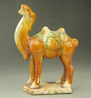 Old Chinese Dynasty Tang San Cai Porcelain Auspicious Camel Llama Statue B02