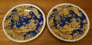 Rare Royal Crown Derby " Cobalt Blue Aves Pattern " - Plates -