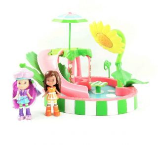 2008 Hasbro Strawberry Shortcake Swimming Pool Splashin Petal Playset Dolls Doll