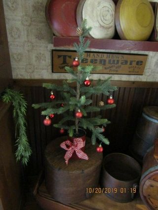 Primitive Pine Tree In Red Tin Can W/red Glass Ornies & Red/white Checked Bow