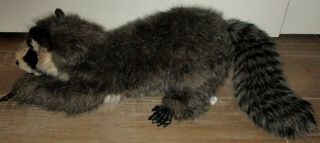 Folkmanis Large Raccoon Full Body Hand Puppet 2322 Rare 21 " Long
