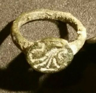 Ancient Hellenistic Seal Ring With Artistic Lion 150 Bc.  13 Mm Rare