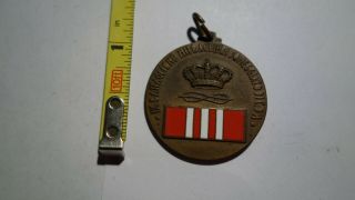 Extremely Rare Wwii Italian 9th Machine Gun Troops Medal.  Rare