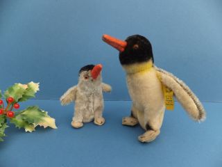 Rare Vintage Antique Mohair 3 " Steiff Baby Peggy Penguin Miniature Toy Christmas