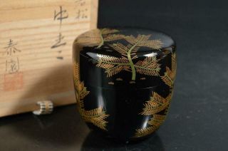 T2153: Japanese Wooden Pine Gold Lacquer Pattern Tea Caddy Natsume W/signed Box