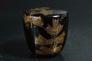 T2153: Japanese Wooden Pine gold lacquer pattern TEA CADDY Natsume w/signed box 2