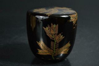 T2153: Japanese Wooden Pine gold lacquer pattern TEA CADDY Natsume w/signed box 3