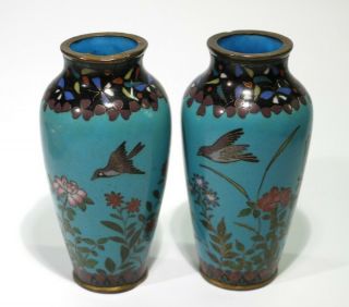 Antique Chinese Cloisonne Vases Decorated With Birds & Flowering Foliage