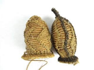 2 Vintage Phallocrypt Koteka,  Horim Or Penis Gourd Tribal Penis Sheath From Png
