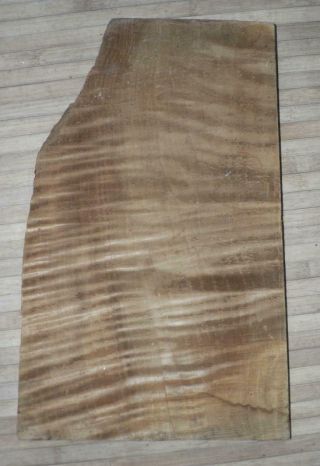 Rare Very Old Maple For One Piece Back,  Piece For Violin Makers,  Luthier Estate