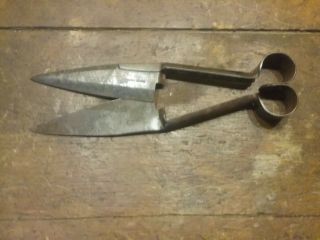Antique By Challenger Hand Forged Iron Shears Sheep Farming 13 1/2 " L