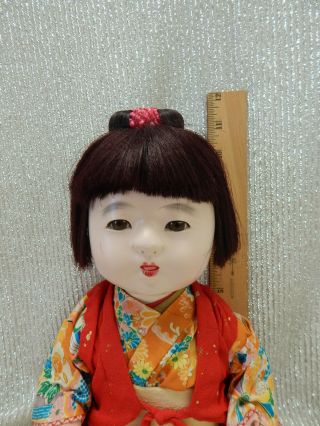Rare Antique Japanese ichimatsu Gofun BABY DOLL w/ sheen Non - cryer 2