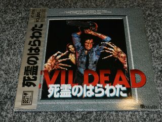 Rare Laserdisc Evil Dead Sam Raimi Starring Bruce Campbell Made In Japan W/ Obi