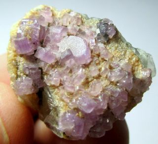 45 Ct Rare Purple Apatite Crystals Bunch Specimen From Afghanistan,