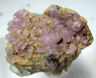 45 CT Rare Purple Apatite Crystals Bunch Specimen From Afghanistan, 2