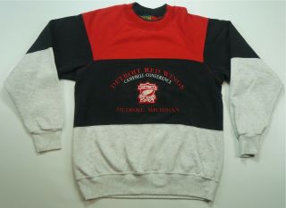 Rare Vintage Home Team Detroit Red Wings Color Block Crewneck Sweatshirt 90s M