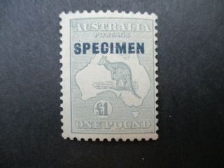 Kangaroo Stamps: £1 Grey Specimen C Of A Watermark - Rare (d183)