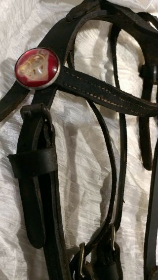 Antique Horse Driving Bridle & Check W/ Bit - Decor Or Parts
