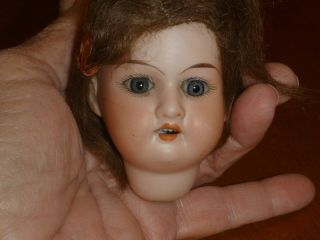 Antique Armand Marseille 390 Bisque Doll Head - Open Mouth,  Teeth