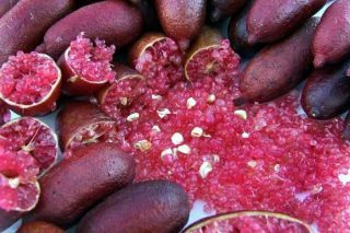 10 Seeds Ice Pink Finger Fruit Lime Seed Rare Plant Home Garden Balcony