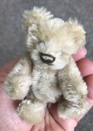 Rare Vintage C1950 Jointed Steiff 3.  5” Miniature Once White ? Mohair Bear Sweet