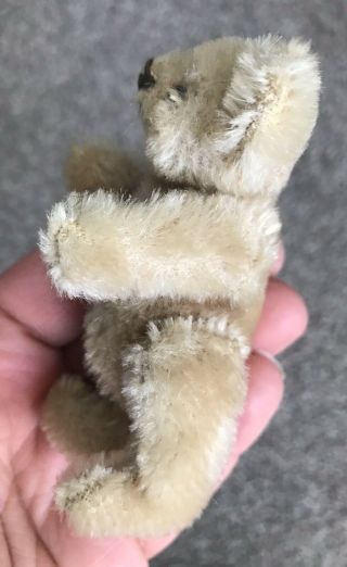 RARE VINTAGE C1950 Jointed Steiff 3.  5” Miniature Once White ? Mohair Bear Sweet 2