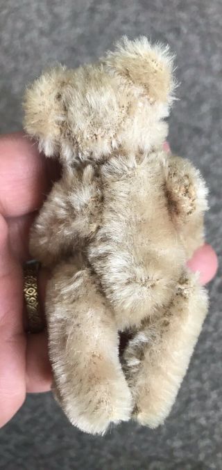 RARE VINTAGE C1950 Jointed Steiff 3.  5” Miniature Once White ? Mohair Bear Sweet 3