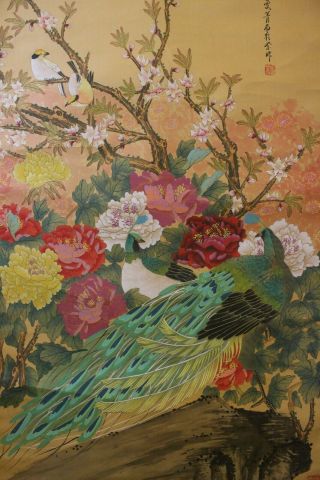 K02s9 Gorgeous Peacock & Bird Peony Flowers Chinese Hanging Scroll