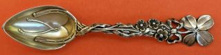 Stunning Old Good Luck Sterling Silver Souvenir Spoon