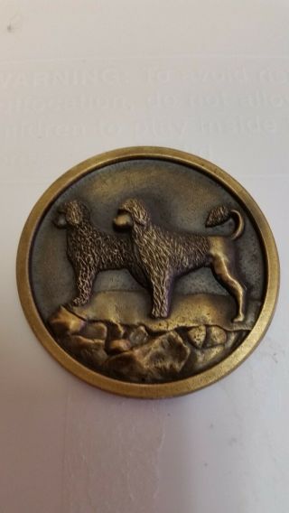Very Rare Portuguese Water Dog Club Of America Pwdca Heavy Bronze Medallion